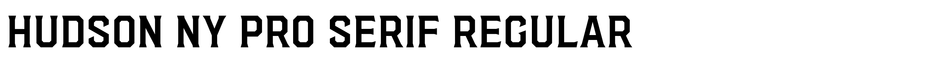 Hudson NY Pro Serif Regular